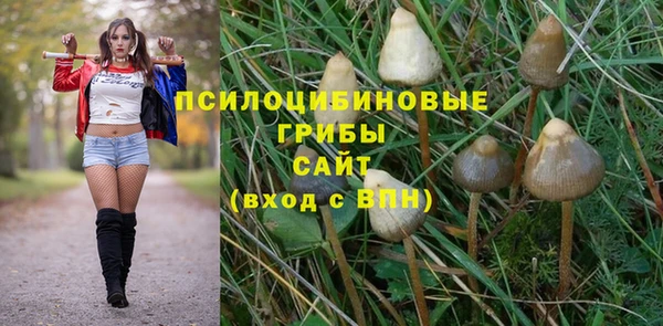 герыч Сатка