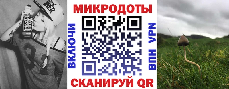 нарко площадка официальный сайт  Беломорск  Псилоцибиновые грибы ЛСД 